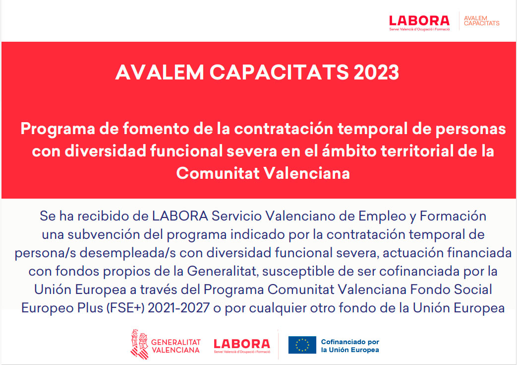 Avalem capacitats 2023